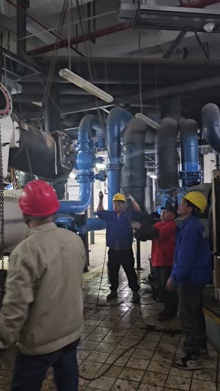 有宠物或植物的家庭，搬家当天怎么安排？1